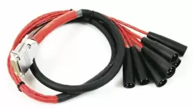 119322 AVID Digisnake