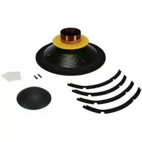 RCK15TBW1004 B-C Recone Speaker Watts Kit