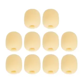 BQLZRN22170 BQLZR Wind Shield Mic Sponge Cover Loudspeaker