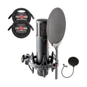 SE2200 BRISKDROP Se Diaphragm Condenser Microphone Shockm