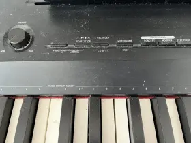 PX-160 CASSIO Privia Stand Gently Up Brooklyn #2