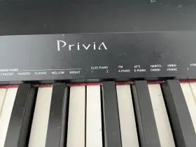PX-160 CASSIO Privia Stand Gently Up Brooklyn #3