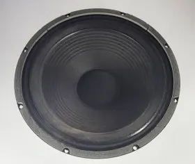 67-99100024 EMINENCE Guitar Speaker Polytone Mini Brut