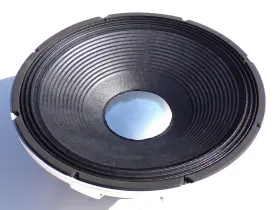 4580-5840 GAUSS Speaker Woofer Subwoofer Driver Cetec Peak