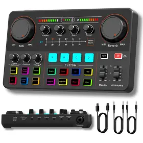 SOUND-CARD-P300-BLACK HOSONGIN Audio Interface Beginners Pro