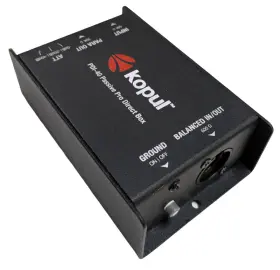 PDI40 KOPUL High Performance Passive Box Keyboard Guitar Dj #3