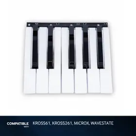 CKOR321-02 KORG Octave Key Microx Wavestate