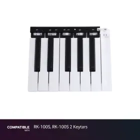 CKOR355-02 KORG Keytars