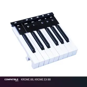 CKOR371-03 KORG Key Krome Ex