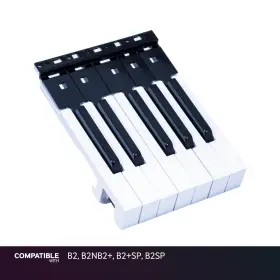 CKOR372-02 KORG Key Sp