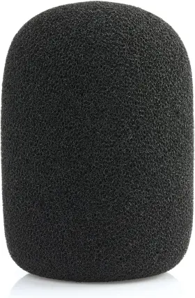 756014753004 LEFXMOPHY Pop Filter Electro Voice Microphone