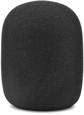 756014753073 LEFXMOPHY Foam Windscreen Samson Track Pro Mic
