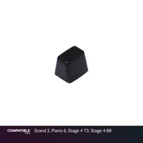 CFOC255-01 NORD Drawbar Slider Cap Piano