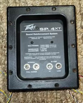SP4XT PEAVEY Crossovers #3
