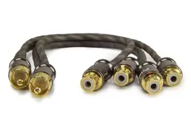 50001F2M PRIDE Rca Connector