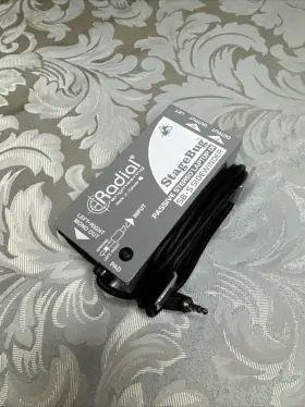 R800-0150 RADIAL Stagebug Passive Laptop Box