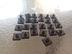 13129715 ROLAND Tactile Switch Set #2
