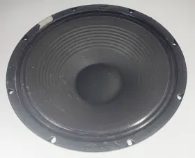 W300RP13500F ROLAND Guitar Speaker Cube Amp