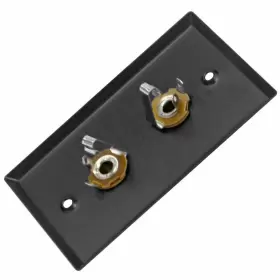 847861017866 SEISMIC AUDIO Steel Wall Plate Dual Ts Mono #2