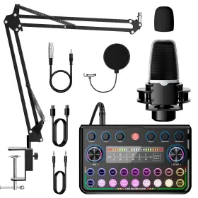 P99-MC98 SINWE Podcast Audio Interface Studio Condenser
