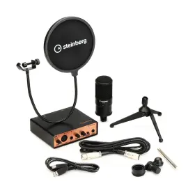 UR12B-PS STEINBERG Audio Interface Copper