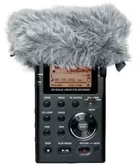 907034120222 TASCAM Windscreen Recorders #2