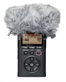 907034120222 TASCAM Windscreen Recorders #3