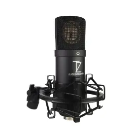 765390133638 TZ Diaphragm Cardioid Condenser Xlr Microphone