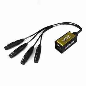 Ct-f WHIRLWIND Catdusa Ethercon Mini Audio Snake Xlrf Cable