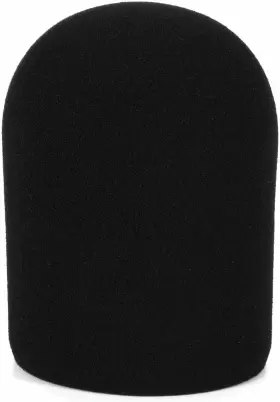 20-421-12 WINDTECH Windscreen