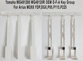 WG491200 YAMAHA Key Arius Ydp Dgx