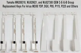 WJ029600 YAMAHA Keys