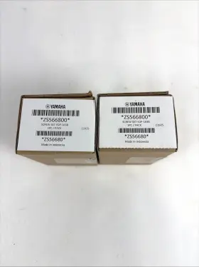 ZS566800 YAMAHA Screw Set Piano Box