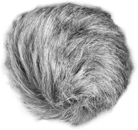 691198302887 ZOOM Windscreen Reduce Wind Noise