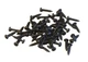 Set of 50 Procraft #10 x 1" Panhead Screws- Black Oxide PHPB-10X1-BK