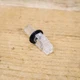 PreSonus Central Station Push Button with Plastic Guide U240621-B
