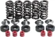 Kibblewhite Lightweight Valve Spring Kit Yamaha WR400/YZ400F/WR426F/YZ426F 98-02