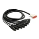 Mogami Gold DB25 XLR Female 5&rsquo;