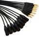 Mogami Gold 8 TRS-XLRM 8-channel 1/4" TRS Male to XLR Male Snake - 5 foot