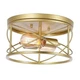 2-Light Flush Mount Ceiling Light Fixture, Industrial Modern Gold ceiling light