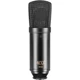 MXL 440 Large Diaphragm Condenser Microphone, Black
