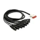Mogami Gold DB25 to XLRF Cable - 5' (Demo / Open Box)