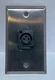 Atlas Sound LP SG-XLR-F1 Single Gang Steel Wallplate