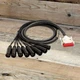 Open Box Mogami 10-foot Gold DB25-XLRM 8-Channel Snake XLR Male DSUB