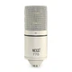 770 Condenser Microphone for Podcasting, Singing, Home Studio Recording, Gami...