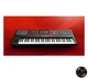 KORG PA700 Professional Arranger Keyboard