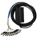 Pro Co StageMASTER 8x4 Snake with XLR Returns (100ft)