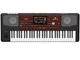 KORG PA700 Professional Arranger Keyboard 61 key genuine product Brand New
