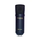 Marantz Professional MPM-1000U USB Condenser Microphone for Gaming, Streaming