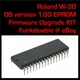 Roland W-30 OS 1.03 EPROM Firmware Upgrade SET / New ROM Final Update Chips W30